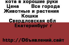 кота в хорошие руки › Цена ­ 0 - Все города Животные и растения » Кошки   . Свердловская обл.,Екатеринбург г.